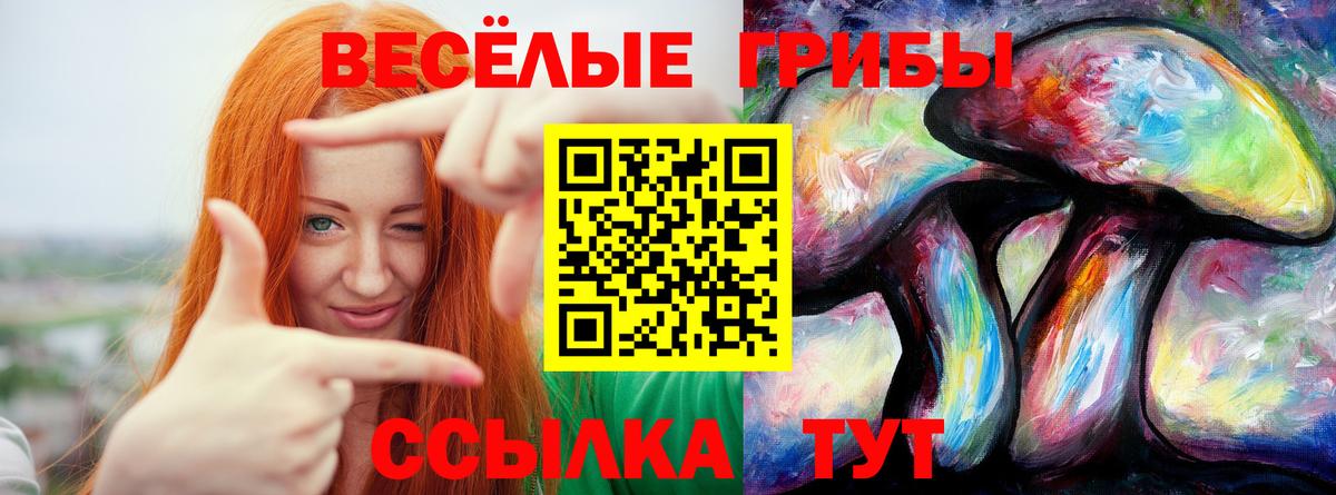 Галлюциногенные грибы GOLDEN TEACHER Назрань